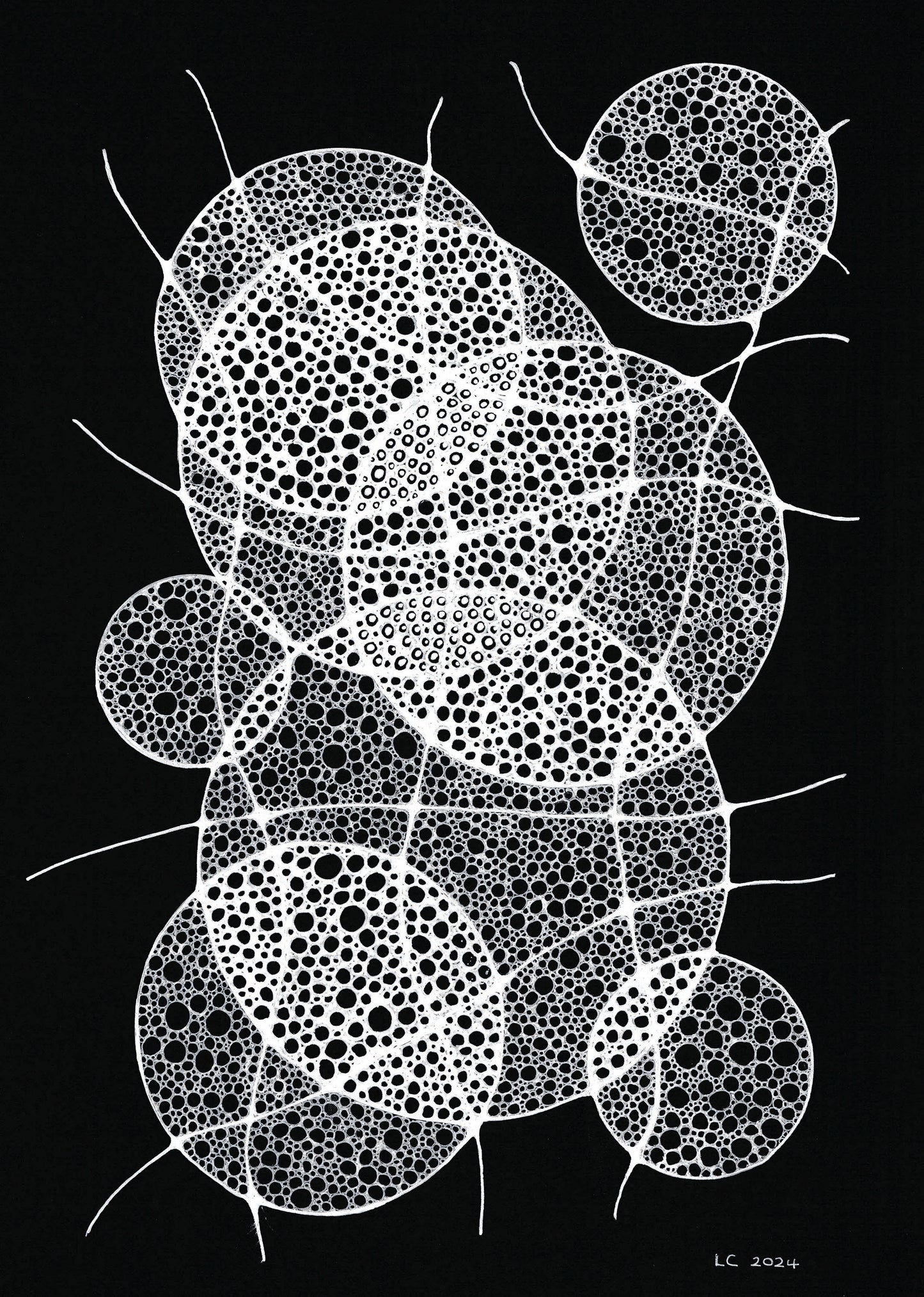 Spume - Louise Clark - 300DPI - A4 Print edit copy.jpg