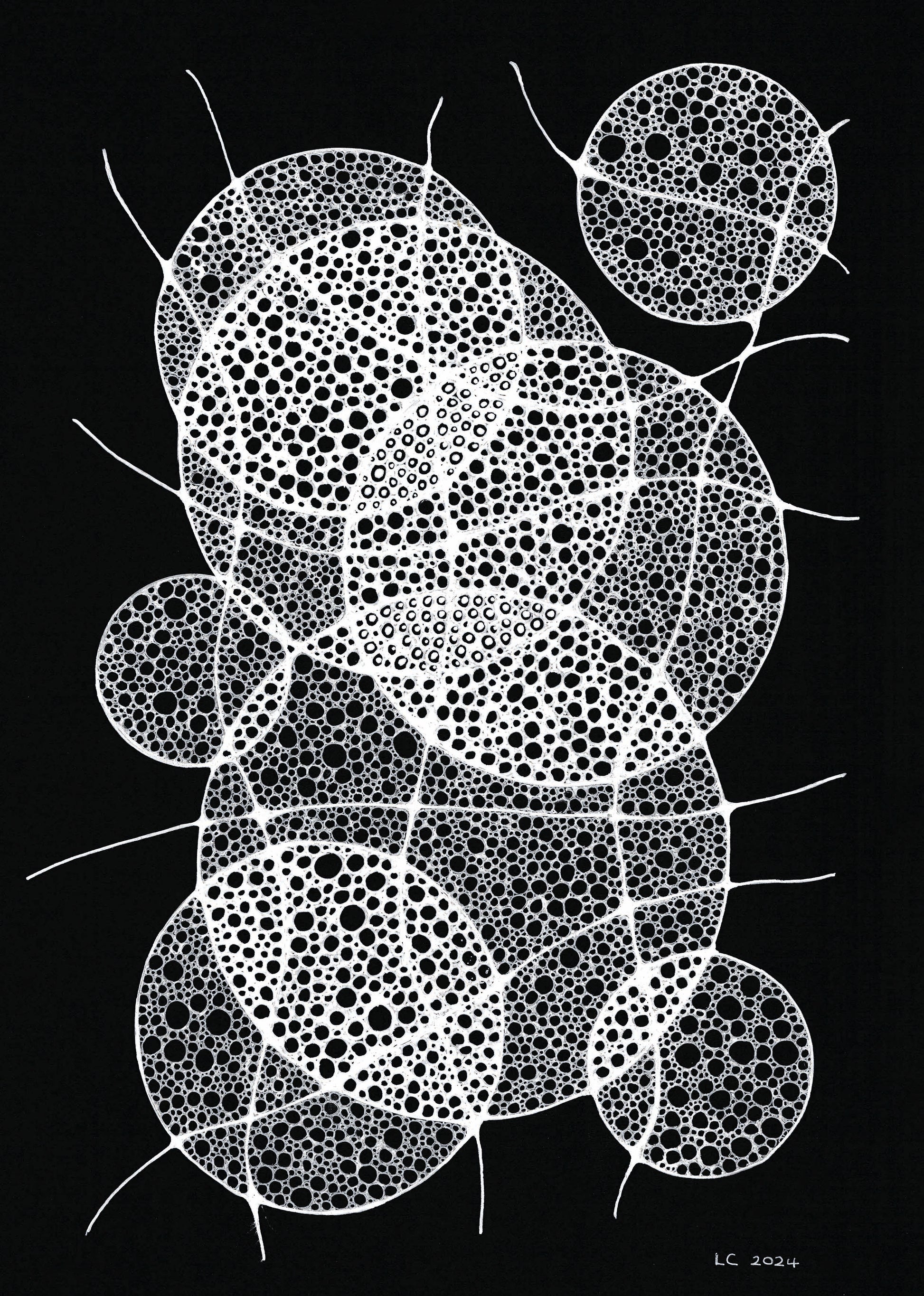 Spume - Louise Clark - 300DPI - A4 Print edit copy.jpg
