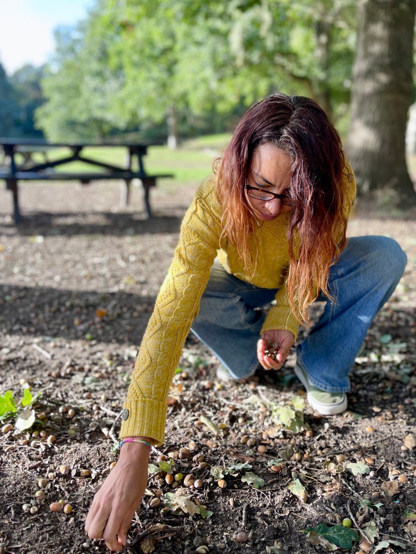 Louise foraging under an oak tree in Sherwood Forest
