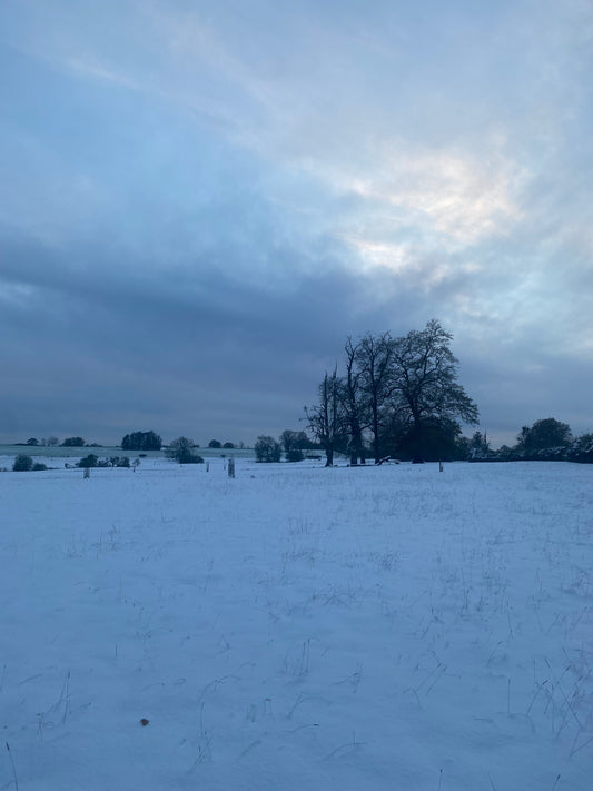Finding Your Spark in the Quiet of Winter: Why Now is the Perfect Time for Creative Reflectionan Invitation to get Creative!