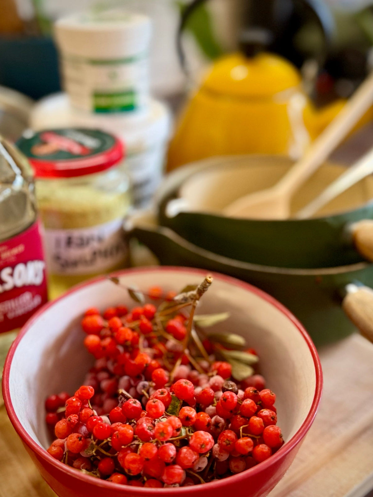 A bowl of freshly picked rowan berries on the kitchen table, ready for ink making