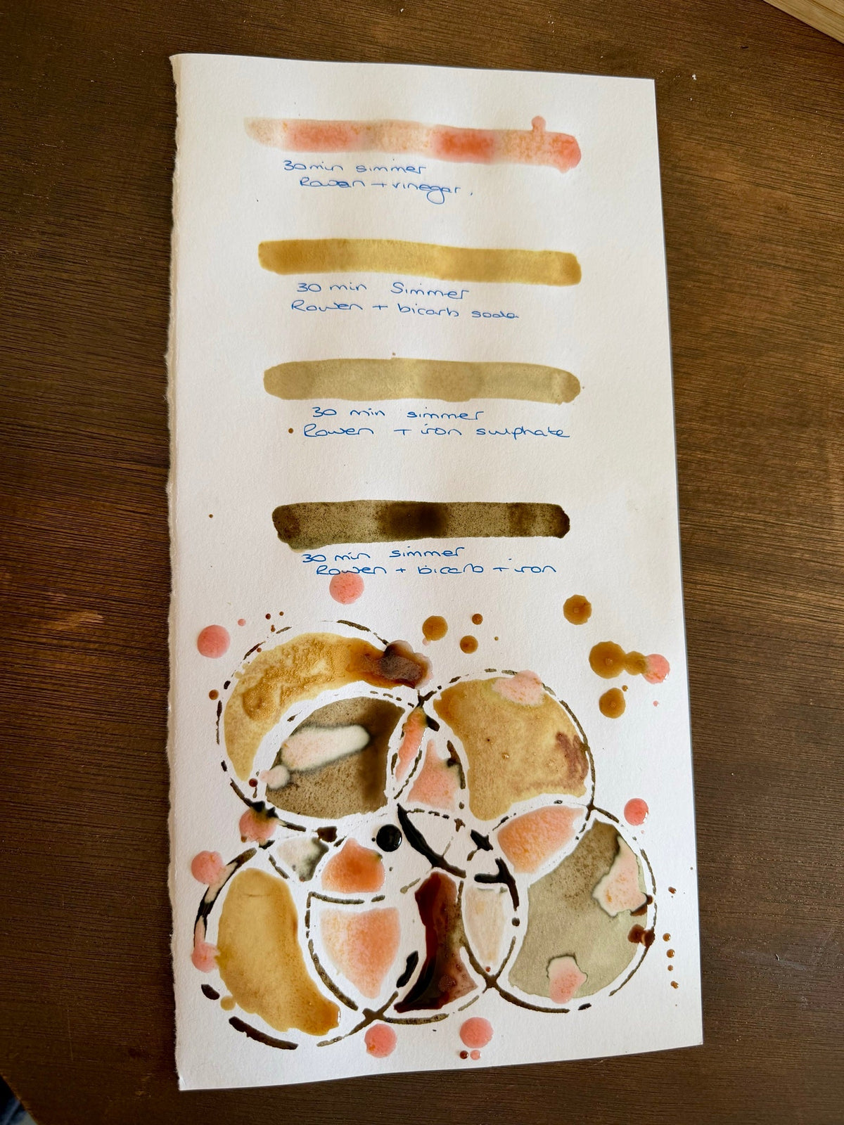 Hand-labelled rowan berry ink swatches on watercolour paper, shifting from coral to bark brown with vinegar, bicarb and iron, with overlapping circles drawn beneath