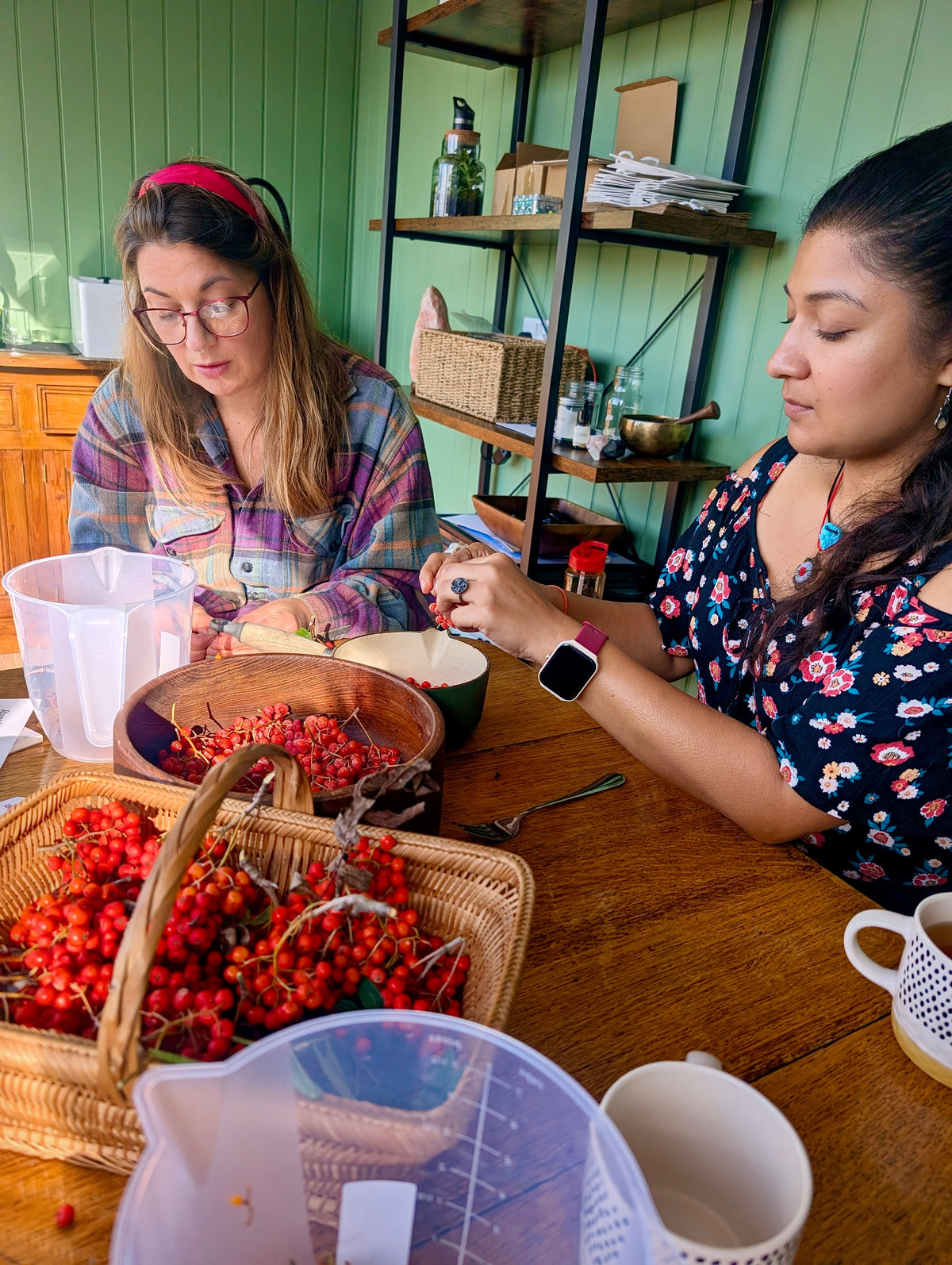 Two women at the table stripping rowan berries in the green-walled studio at The Imperfect Circle, Screveton